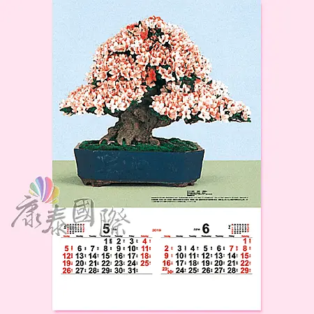 TH-914-盆栽(2024年-日本進口月曆)-3