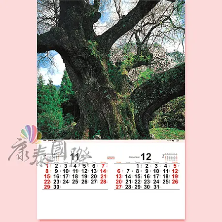 TH-918-深山銘木(2024年-日本進口月曆)-7