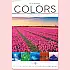 TH-8926-彩COLORS(2024年-日本進口月曆)